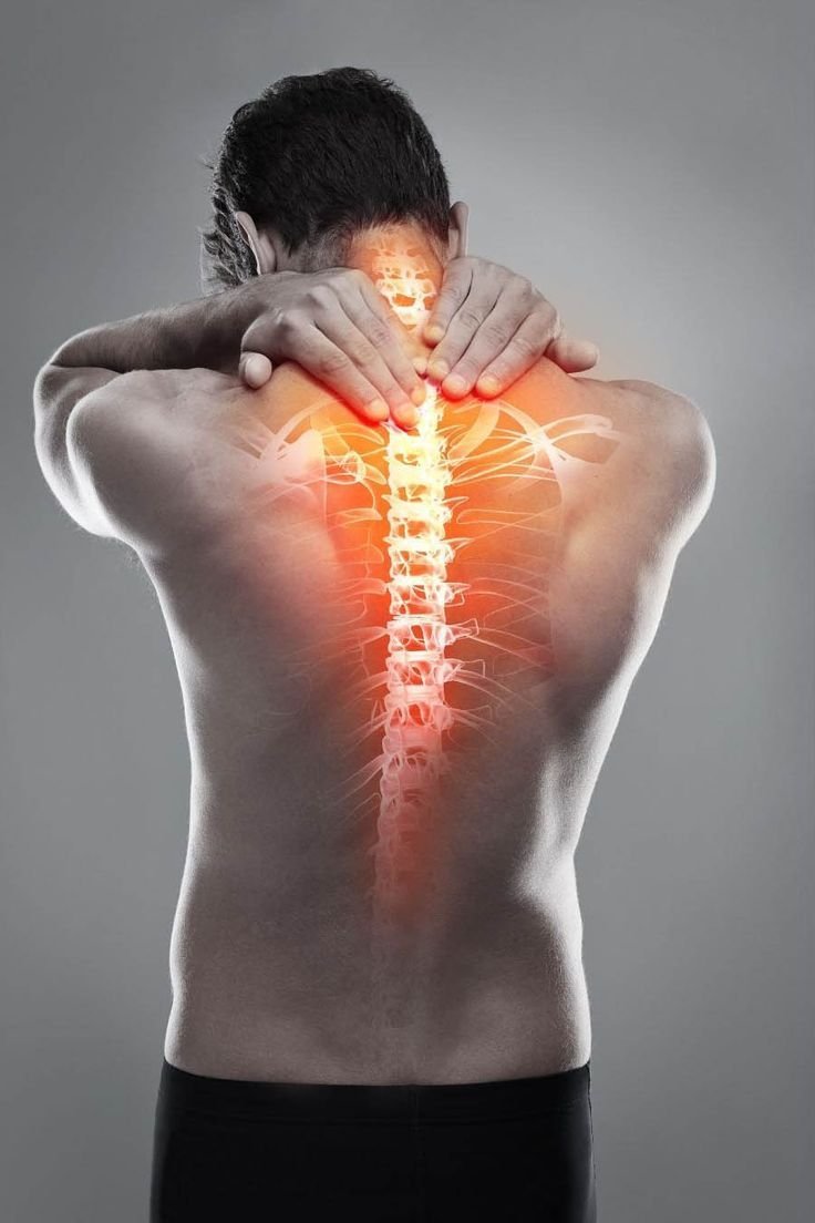 Spine, Backbone & Spondylosis